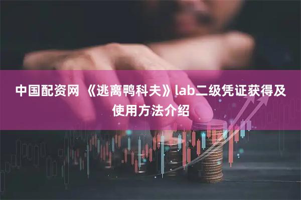 中国配资网 《逃离鸭科夫》lab二级凭证获得及使用方法介绍