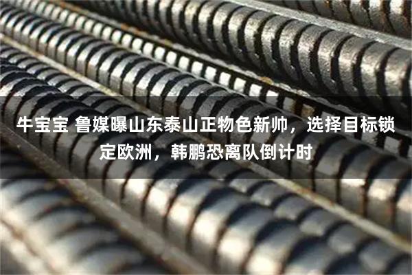 牛宝宝 鲁媒曝山东泰山正物色新帅，选择目标锁定欧洲，韩鹏恐离队倒计时